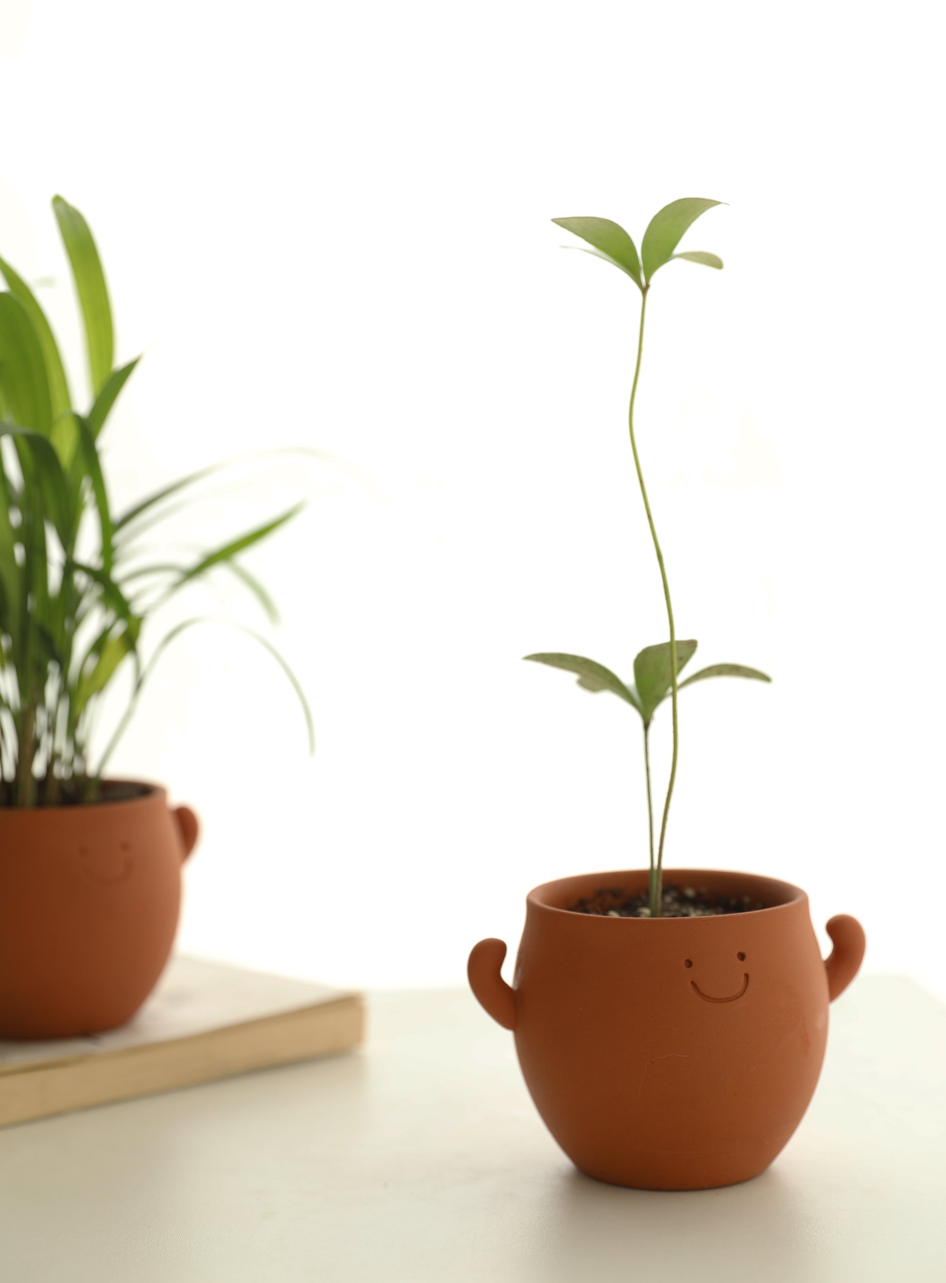 Happy smile planter pot – Tuesday Aoyama